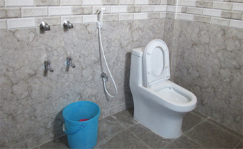 Western Toilet